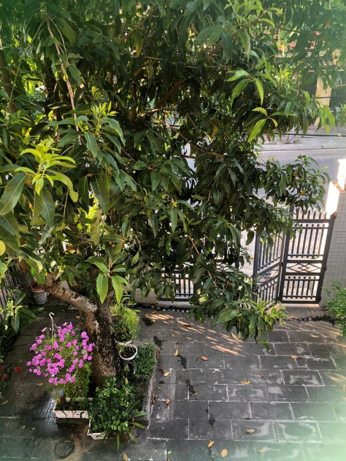 Homestay Phuong House Хой Ан Екстериор снимка