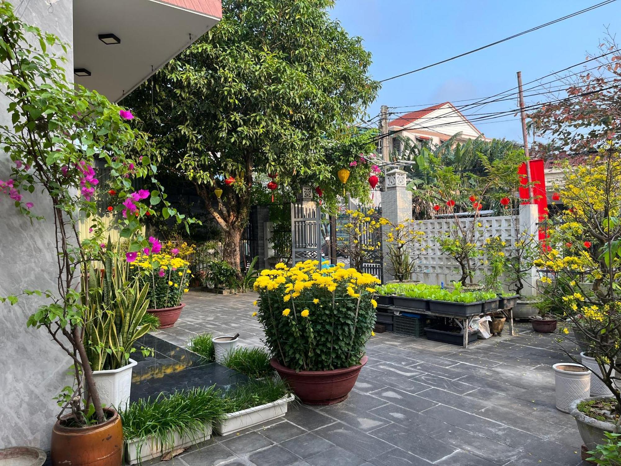 Homestay Phuong House Хой Ан Екстериор снимка